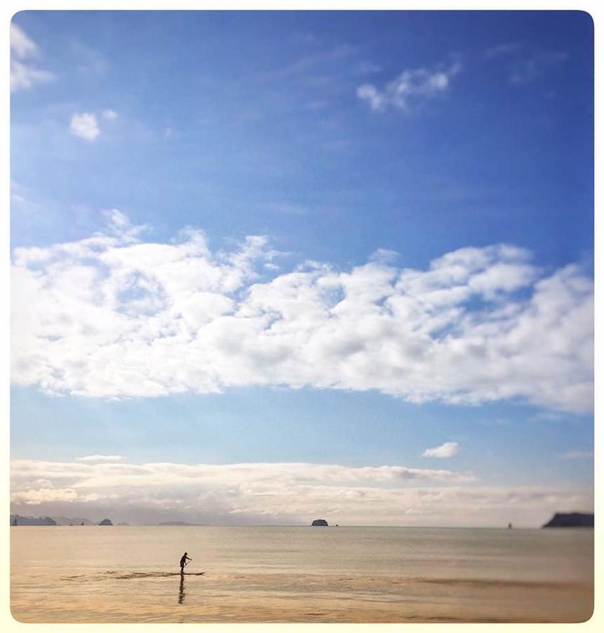 โรงแรมอัลเบิร์ตนัมเบอร์ซิกซ์ วิเทียงกา ภายนอก รูปภาพ